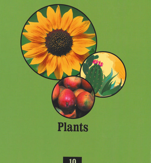 原文現貨 My First Britannica (10/13 vol.) Hardcover - Plants 我的第一本百科-植物